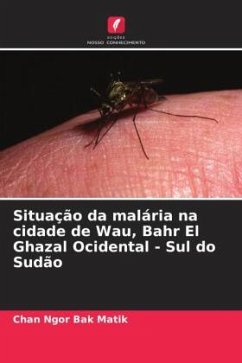 Situação da malária na cidade de Wau, Bahr El Ghazal Ocidental - Sul do Sudão - Ngor Bak Matik, Chan