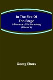 In The Fire Of The Forge; A Romance of Old Nuremberg (Volume V)