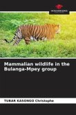 Mammalian wildlife in the Bulanga-Mpey group