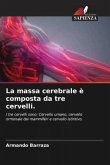 La massa cerebrale è composta da tre cervelli.