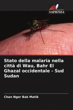 Stato della malaria nella città di Wau, Bahr El Ghazal occidentale - Sud Sudan - Ngor Bak Matik, Chan