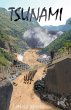 Tsunami - Bild 1