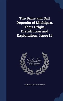 The Brine and Salt Deposits of Michigan, Their Origin, Distribution and Exploitation, Issue 12 - Cook, Charles Wilford