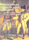 Principios del proceso penal europeo: análisis de la convención Europea de Derechos Humanos (eBook, PDF)