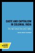 Caste and Capitalism in Colonial India - Bild 1