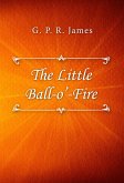 The Little Ball O&quote; Fire (eBook, ePUB)