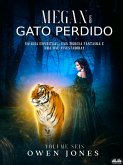Megan E O Gato Perdido (eBook, ePUB)