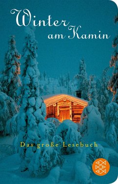 Winter am Kamin (Mängelexemplar) - Pantermüller, Alice