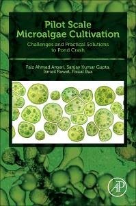 Pilot Scale Microalgae Cultivation - Ansari, Faiz Ahmad; Gupta, Sanjay Kumar; Rawat, Ismail; Bux, Faizal