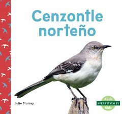 Cenzontle Norteño (Northern Mockingbirds) - Murray, Julie