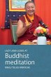 Lazy Lama looks at Meditation - Bild 1
