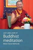 Lazy Lama looks at Meditation