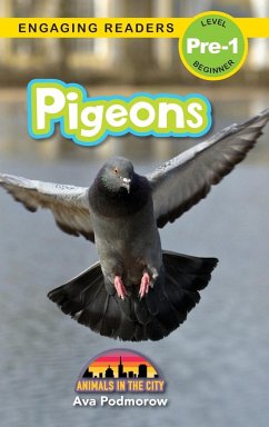 Pigeons - Podmorow, Ava