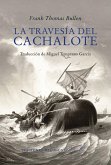 La Travesía del Cachalote La Travesía del Cachalote