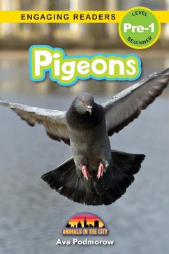 Pigeons - Podmorow, Ava