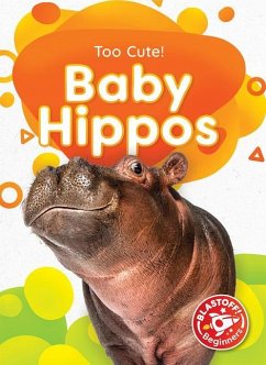 Baby Hippos - Barnes, Rachael