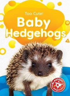 Baby Hedgehogs - Neuenfeldt, Elizabeth