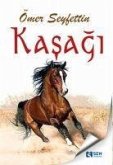 Kasagi