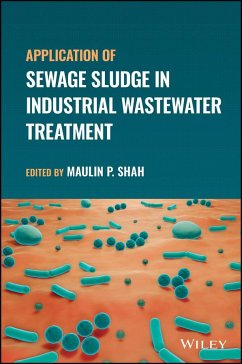 Application of Sewage Sludge in Industrial Wastewater Treatment