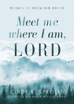 Meet Me Where I Am, Lord - Sproles, Cindy K