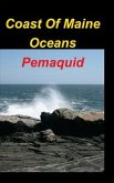 Coast Of Maine Oceans Pemaquid