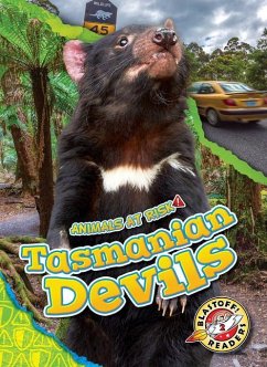 Tasmanian Devils - Grack, Rachel