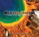 Wild Yellowstone: Land of Geysers and Grizzlies