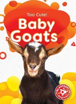 Baby Goats - Barnes, Rachael