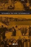Istanbulda Bir Istanbullu