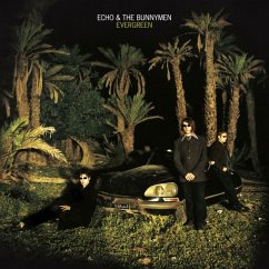 Evergreen (25 Year Anniversary Edition) (Lp White) - Echo & The Bunnymen