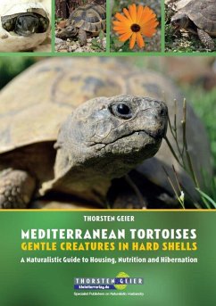 Mediterranean Tortoises: Gentle Creatures in Hard Shells - Geier, Thorsten
