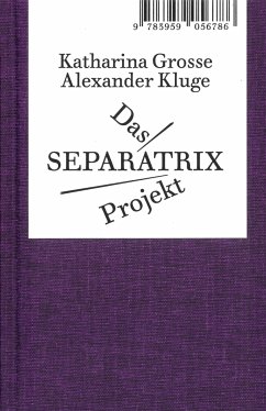 Das Separatrix Projekt - Kluge, Alexander;Große, Katharina