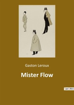 Cover Mister Flow