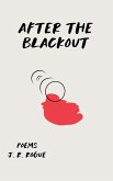 After The Blackout (eBook, ePUB)