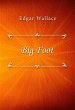 Big Foot (eBook, ePUB) - Bild 1