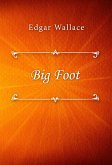 Big Foot (eBook, ePUB)