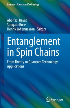 Entanglement in Spin Chains (eBook, PDF)