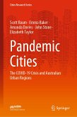 Pandemic Cities (eBook, PDF)