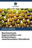 Biochemische Eigenschaften von Kichererbsen-nodulierendem Rhizobium