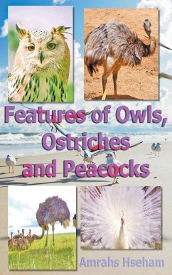 Features of Owls, Ostriches and Peacocks - Hseham, Amrahs