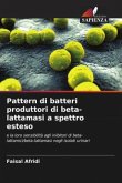 Pattern di batteri produttori di beta-lattamasi a spettro esteso