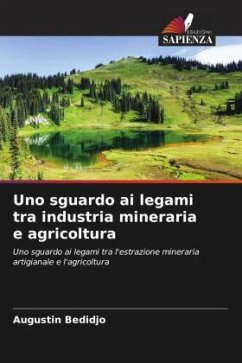 Uno sguardo ai legami tra industria mineraria e agricoltura - Bedidjo, Augustin