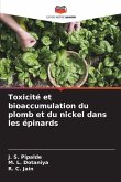 Toxicité et bioaccumulation du plomb et du nickel dans les épinards