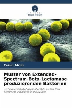 Muster von Extended-Spectrum-Beta-Lactamase produzierenden Bakterien - Afridi, Faisal