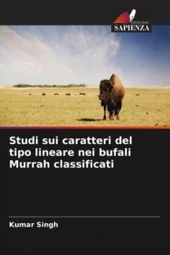 Studi sui caratteri del tipo lineare nei bufali Murrah classificati - Singh, Kumar