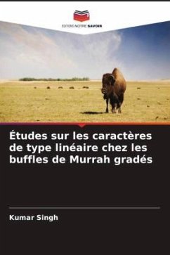 Études sur les caractères de type linéaire chez les buffles de Murrah gradés - Singh, Kumar