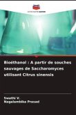 Bioéthanol : A partir de souches sauvages de Saccharomyces utilisant Citrus sinensis