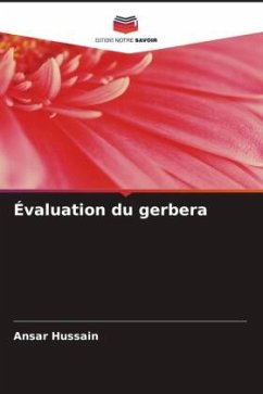 Évaluation du gerbera - Hussain, Ansar