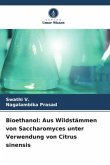 Bioethanol: Aus Wildstämmen von Saccharomyces unter Verwendung von Citrus sinensis
