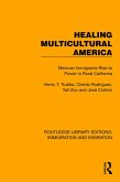 Healing Multicultural America (eBook, PDF)